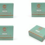 TIANLE HA-2000 digital hearing aid green packaging boxes displayed on white background